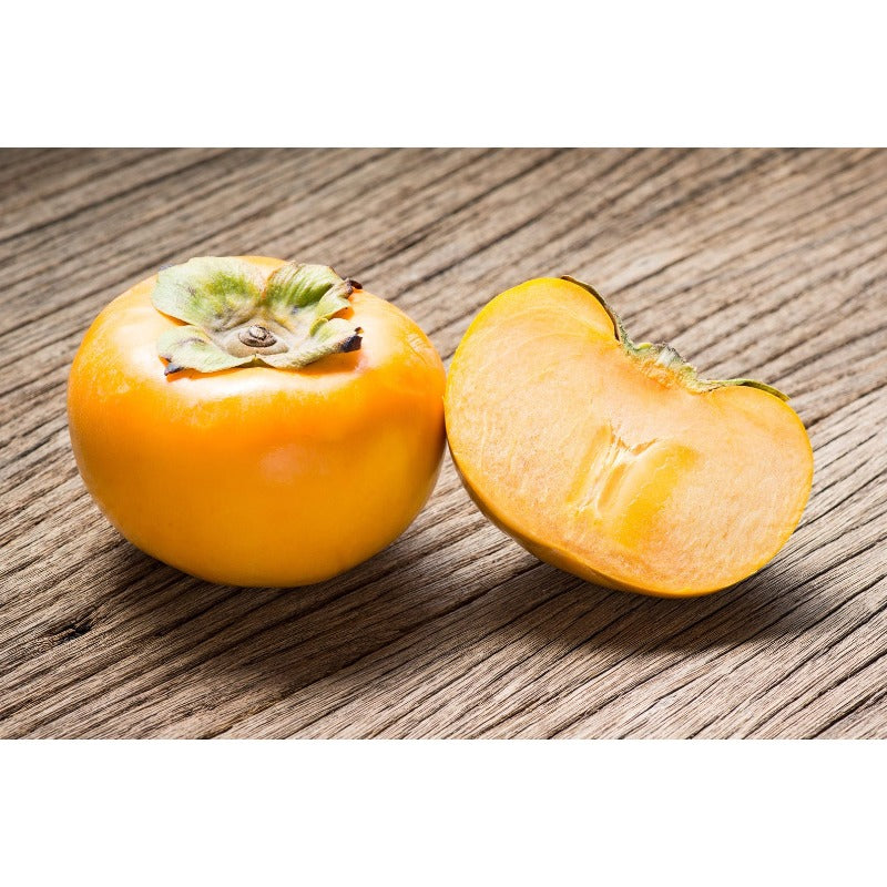 50Pcs Persimmon Seeds Easy to Establish great for novice yard scenic design and natural boundary landscaping layout