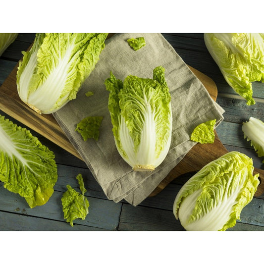 200 Chinese Cabbage Seeds flourish in ordinary well-drained soil suited for garden foliage cultivation