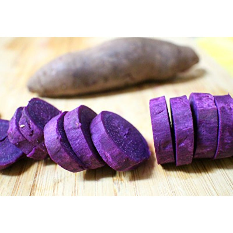 100Pcs Sweet Potato Seeds Fit for home planting hold stable growth cycles for lasting garden cultivation layout value