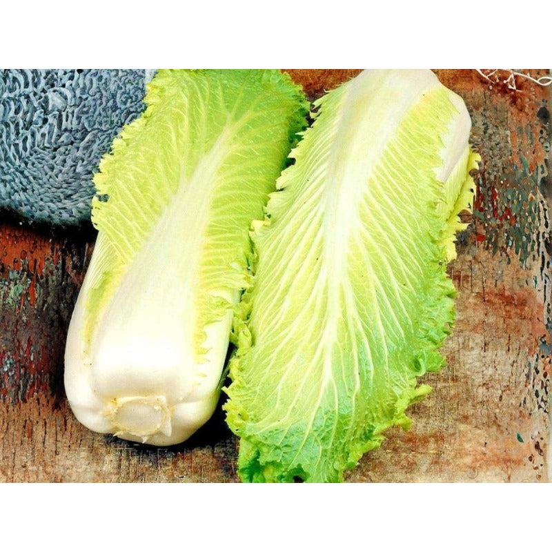 Chinese Cabbage Seeds – 200 Vegetable Garden Seeds easy to planting
