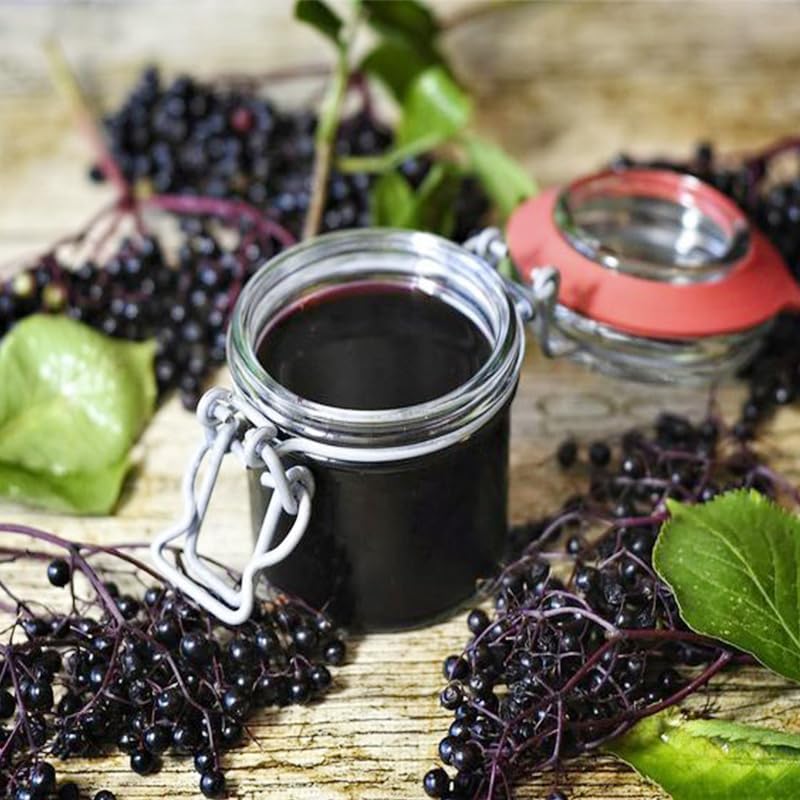 190Pcs Elderberry Seeds for Planing - Non-GMO Heirloom Black Elderberry Seeds for Planting Outdoor