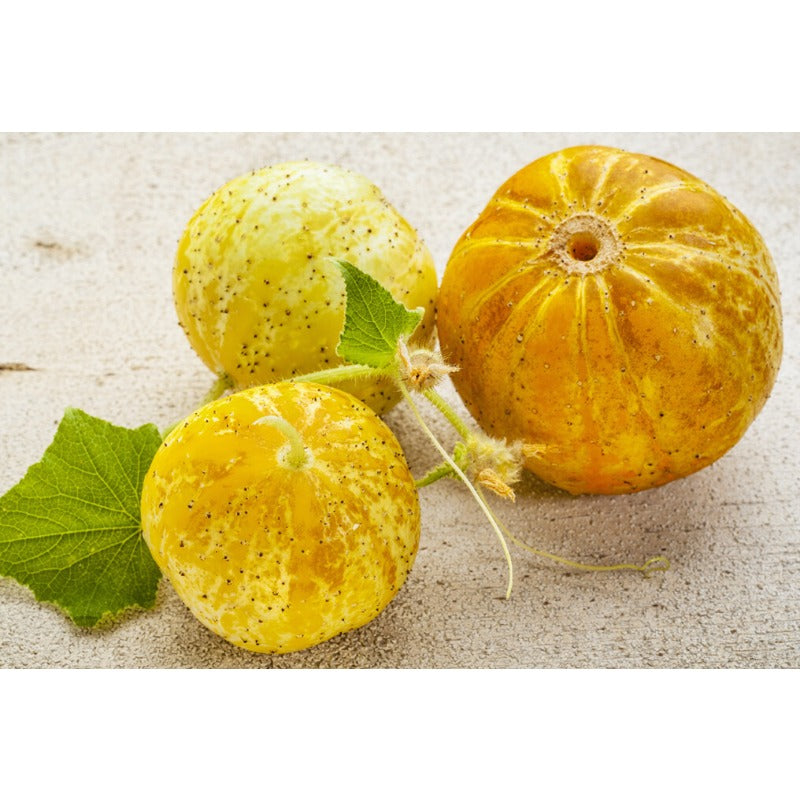 50pcs Lemon Cucumber Seed, HEIRLOOM - NON GMO, Fresh Seeds for Your Garden,