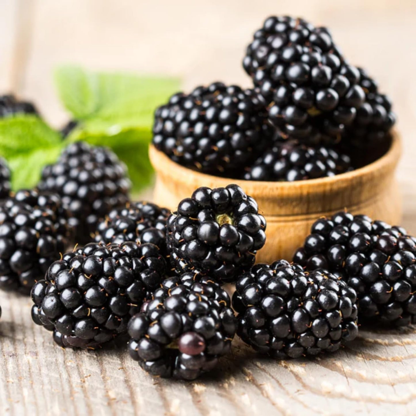 198Pcs BlackBerry Seeds for Planting - Non-GMO Seeds Plant for Garden Outdoor - Sweet,Healthy Fruit