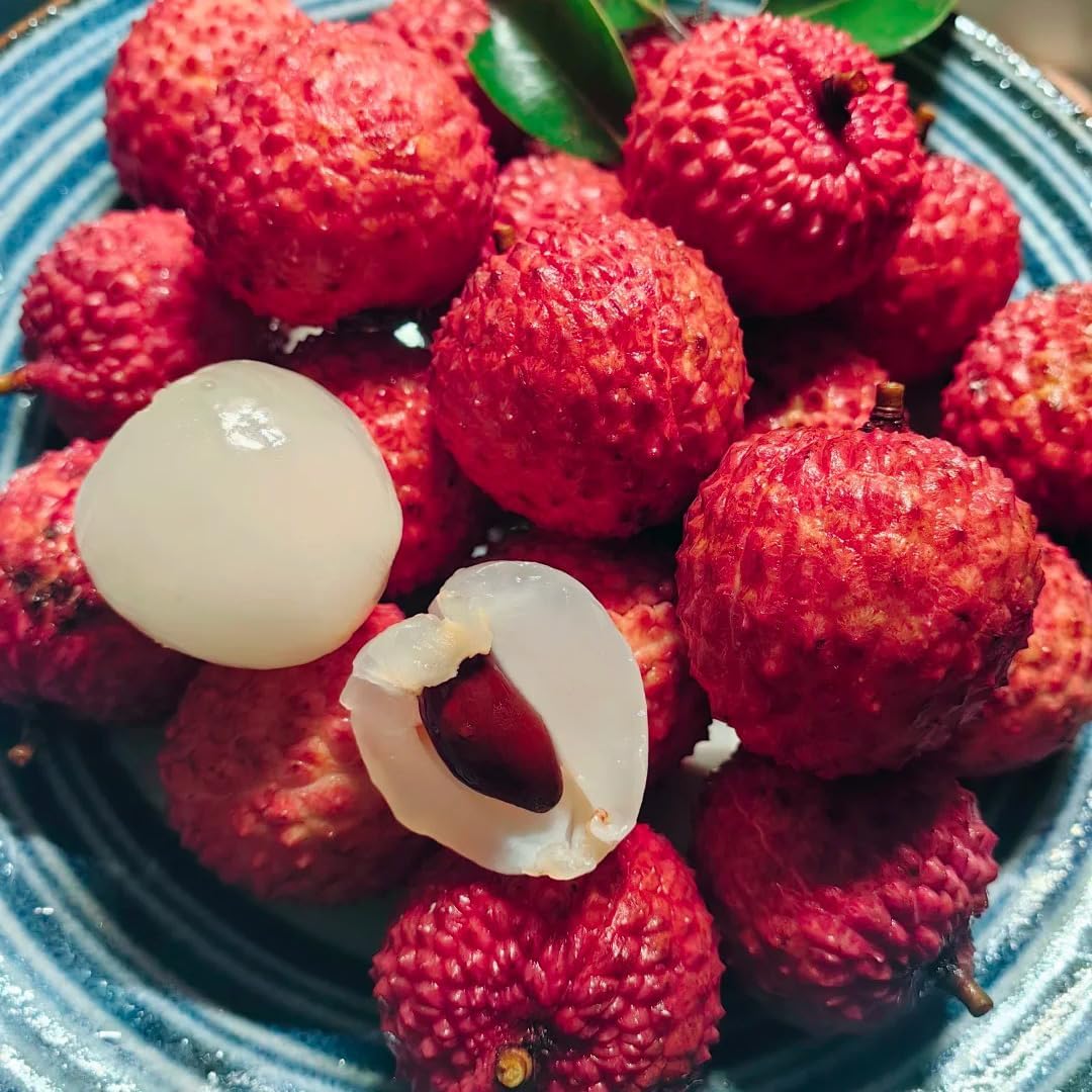 10Pcs Lychee Fruit Seeds for Planting, Perennial Litchi Seed, Sweet Fruit, Non-GMO Heirloom Litchi Seed for Home Gardening