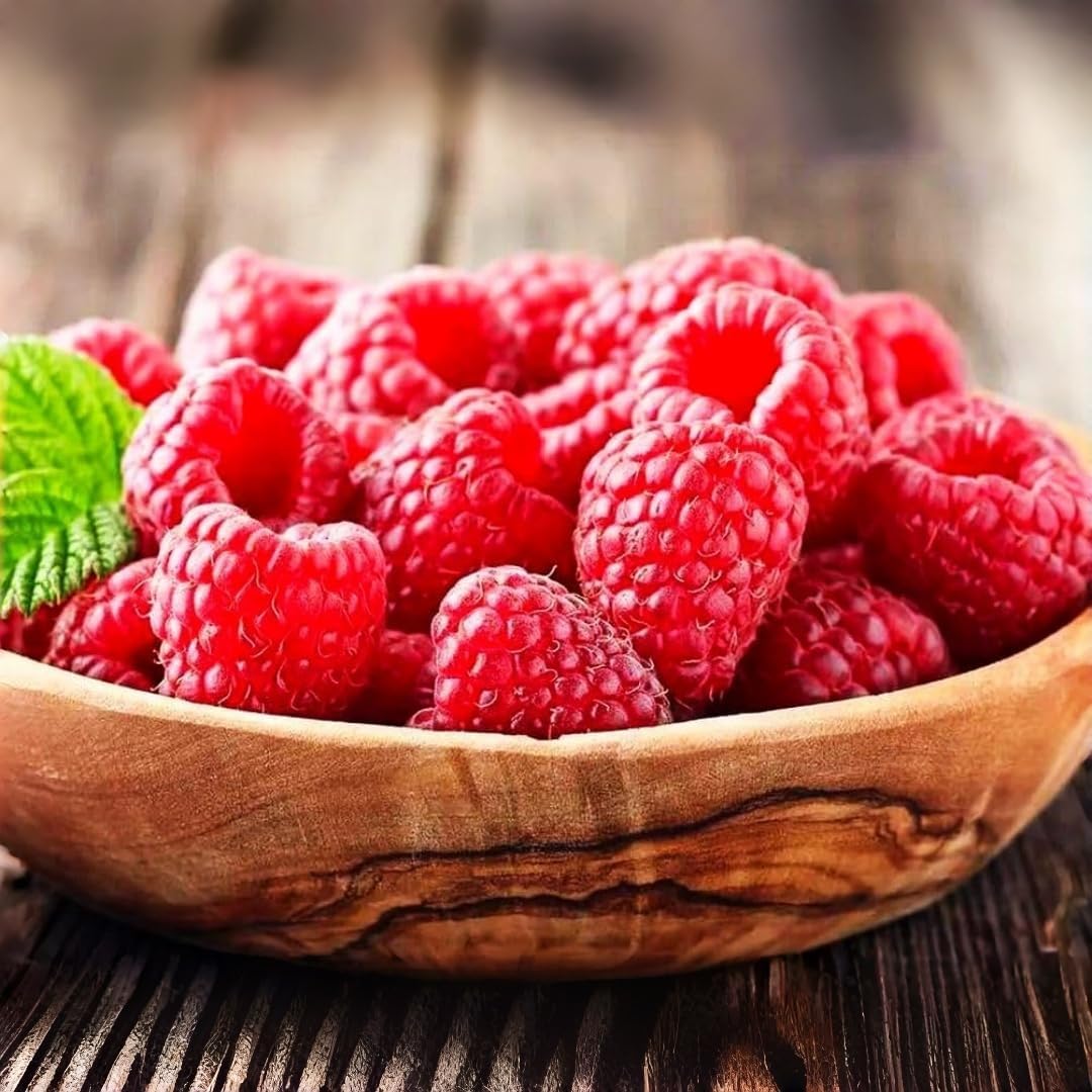 96Pcs Red Raspberry Seeds – Non-GMO Sweet, Juicy Berry Plant – High-Germination Heirloom Variety for Garden Beds, Pots & Outdoor Growing
