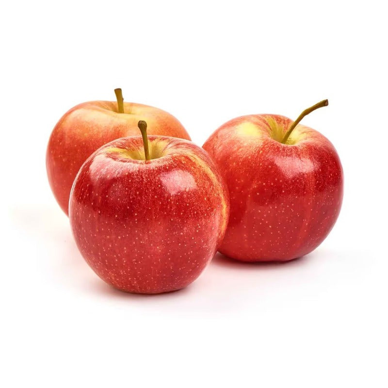 50pcs Ornamental Fruit Tree Accents with Apple Tree Seeds for Landscape