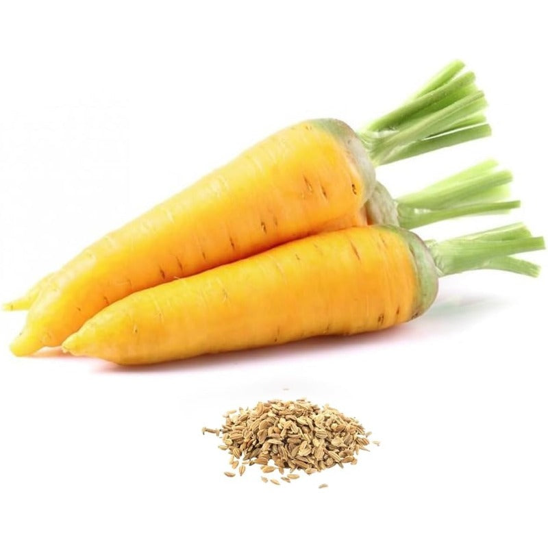200 Yellow Carrot Seeds Heirloom easy to planting Non GMO