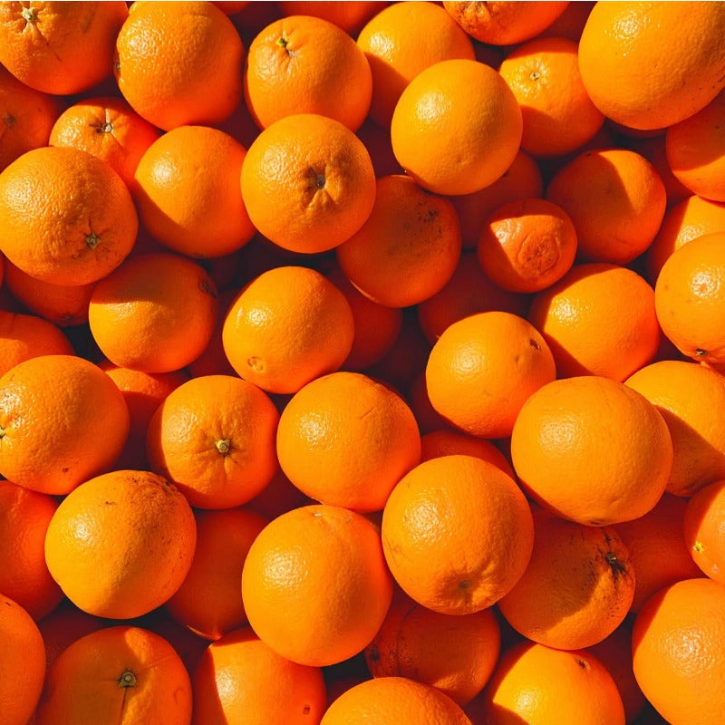 48Pcs Orange Seeds for Planting, Evergreen Perennial Sweet Fragrant Fruit Tree, Non-GMO Heirloom Citrus sinensis for Home Garden & Indoor Containers