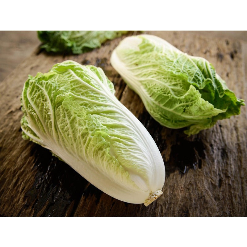 200 Chinese Cabbage Seeds flourish in ordinary well-drained soil suited for garden foliage cultivation