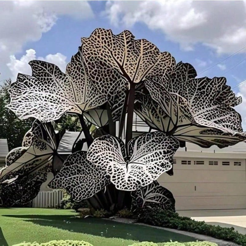 100pcs Elephant Ear seeds for Outdoor Display, Backyard Garden Design