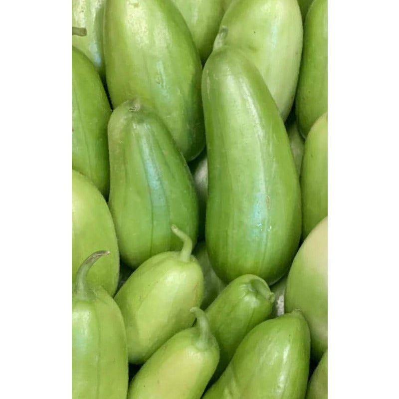 50pcs Cucumber Seeds Easy To Grow Works Well For Container Gardening On Patios Balconies And Small Outdoor Spaces
