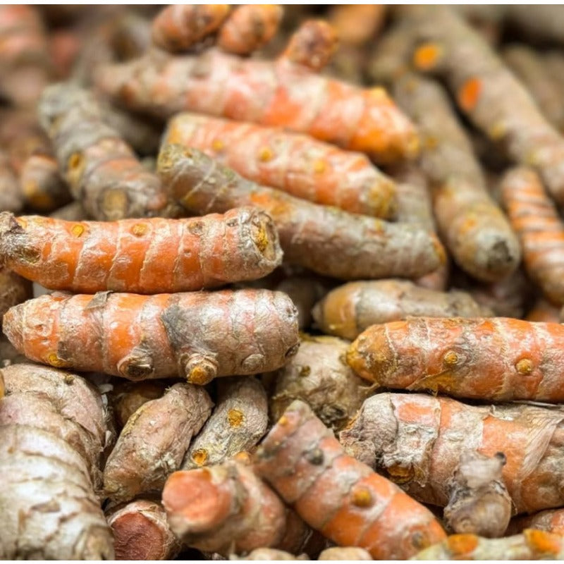 100pcs Suitable for beginner planting Ginger Seeds flourish in ordinary rich well-drained soil suited for tropical garden foliage cultivation