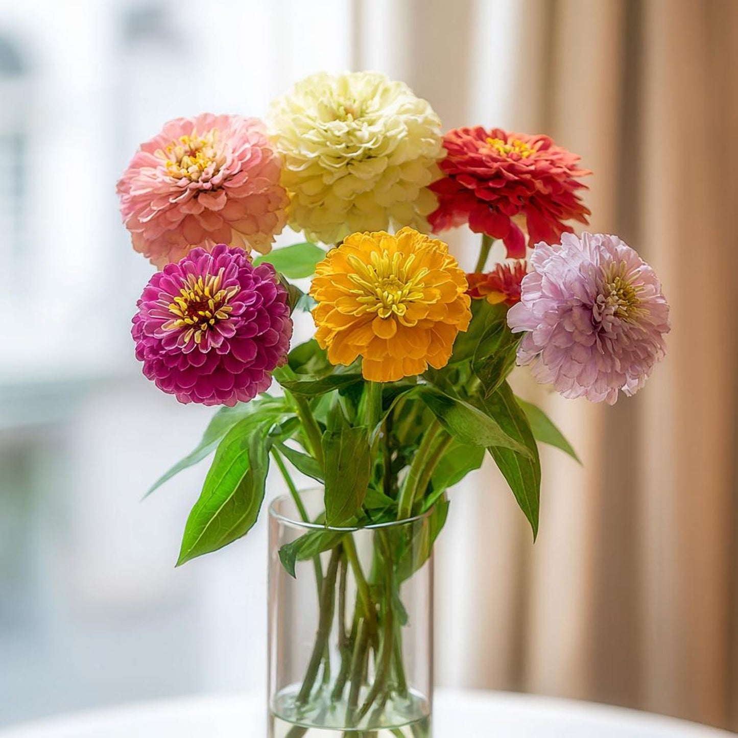 198Pcs Effortless To Care For And Highly Decorative Zinnia Seeds Upgrade Any Dull Outdoor Area Instantly