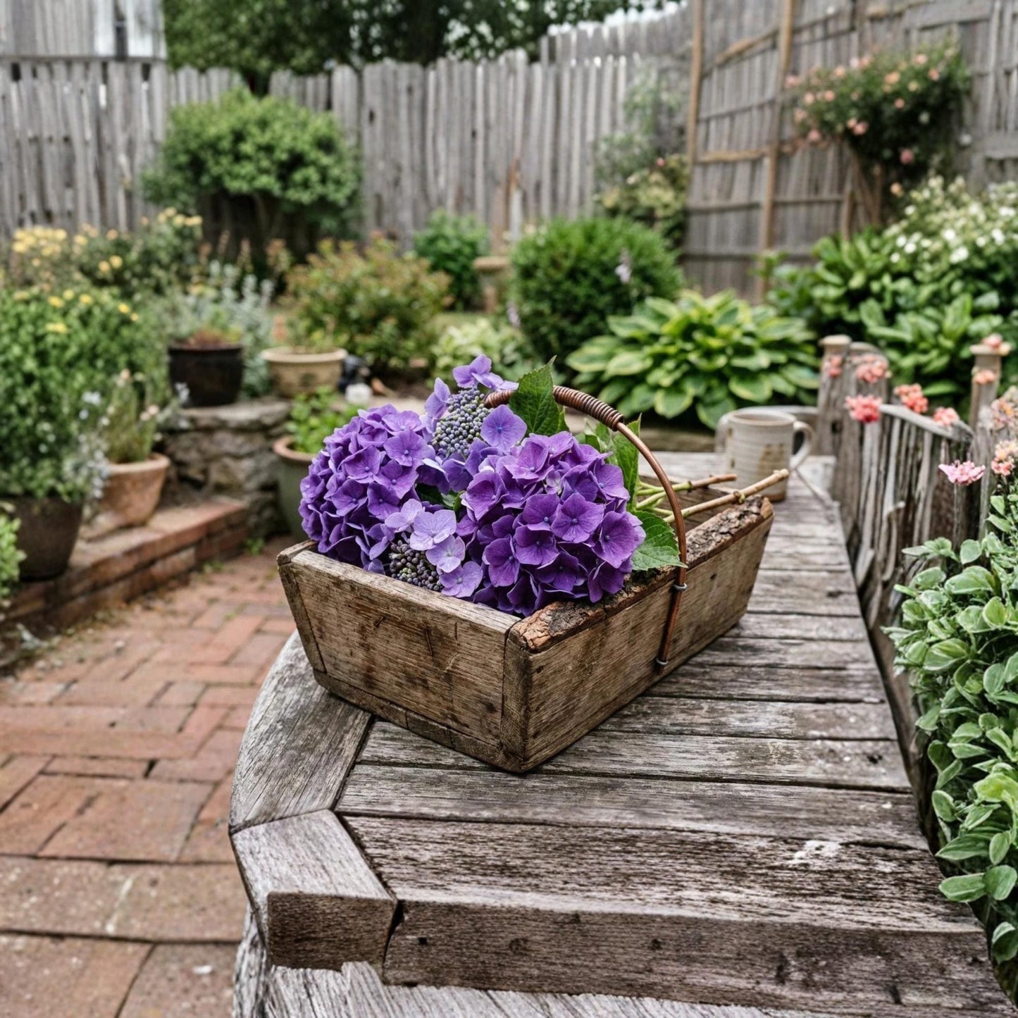 Purple Hydrangea 50seeds, Hydrangea Flower Seeds, Ornamental Garden Plant for Patio & Home Growing