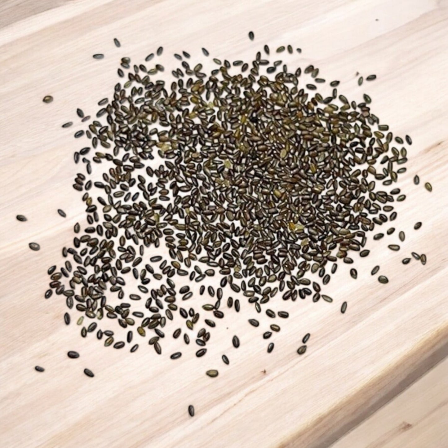 500pcs Mint Seeds for Planting – Non-GMO Heirloom Herb Seeds Herbal Tea Garden