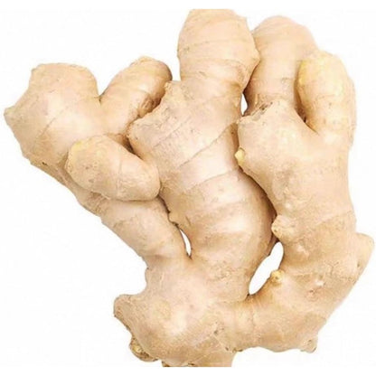 100pcs Suitable for beginner planting Ginger Seeds flourish in ordinary rich well-drained soil suited for tropical garden foliage cultivation