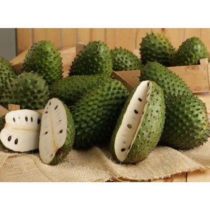 10pcs Wonderful For Enjoying The Rewards Of Home Gardening Soursop Pawpaw Seeds Simple To Plant With Satisfying Visible Growth