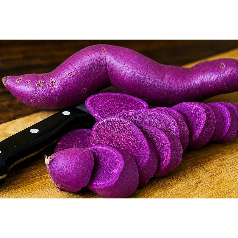 100Pcs Sweet Potato Seeds great for first time growers and home garden planting enthusiasts