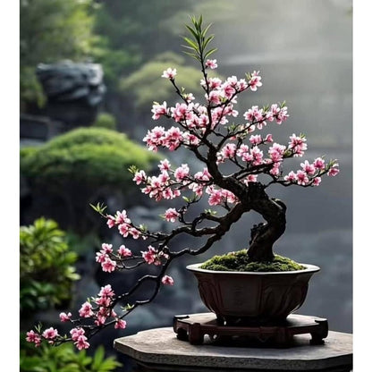 30pcs Great For Creating Peaceful Garden Atmosphere Cherry Blossom Seeds Easy To Grow