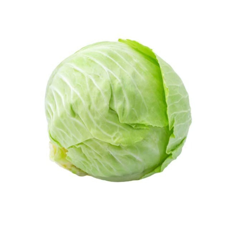 200pcs Cabbage Seeds Friendly for new gardeners grow into full rounded rosette form with steady seasonal growth renewal features