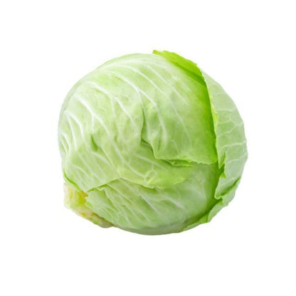 200pcs Cabbage Seeds Friendly for new gardeners grow into full rounded rosette form with steady seasonal growth renewal features