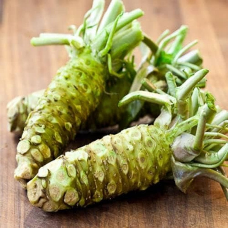 200pcs Suitable for beginner planting Wasabi Seeds flourish in loose moist substrate suited for cool shaded garden cultivation