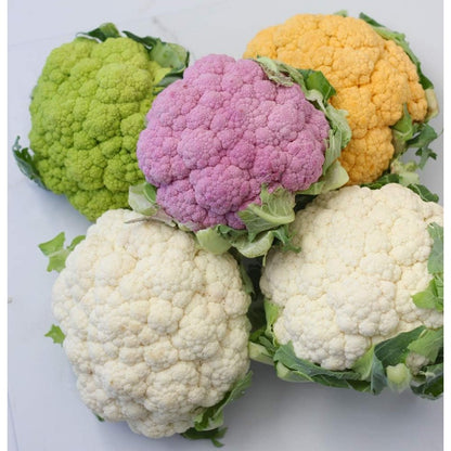 200pcs Cauliflower seeds Cabbage Mix Non GMO Vegetable for Planting