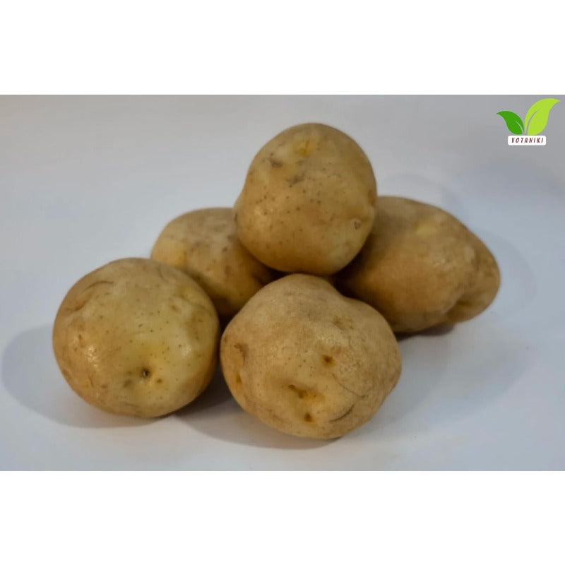 200pcs Potato Seeds Friendly for new gardeners grow into full bushy foliage clusters with steady seasonal development