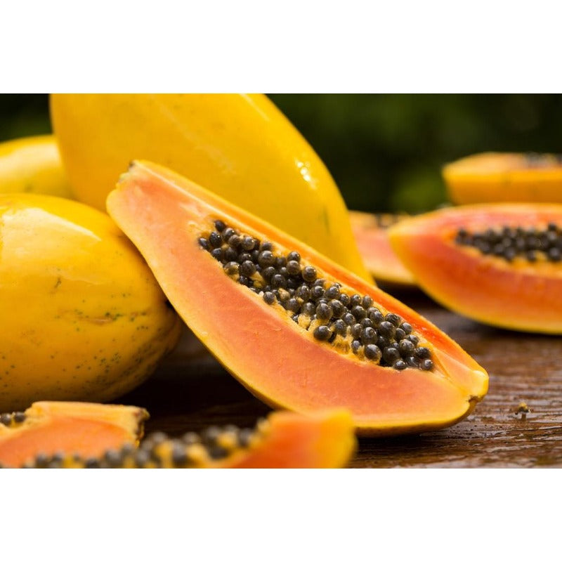 30Pcs Ornamental Papaya Seeds Low Care Perennial Fleshy Seeds with Papaya Seeds for Indoor Pots