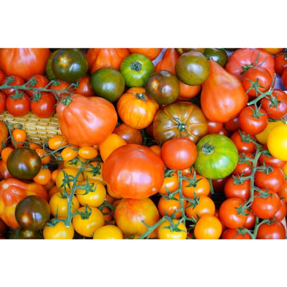 200pcs Ornamental Tomato Seeds Bushy Growth Easy To Plant For Patio Containers