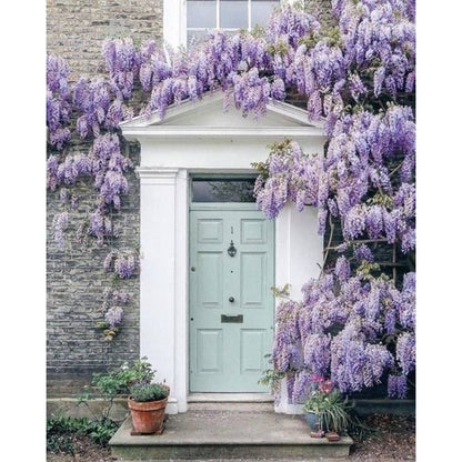 10pcs Blue Rain Wisteria seeds best gift for him her home decor teacher gifts graduation outdoor gardening DIY birthday present flowering plants