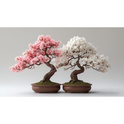 Pink & White 30pcs Cherry Blossom Seeds Easy To Grow Adds Elegant Spring Blooms To Residential Yards