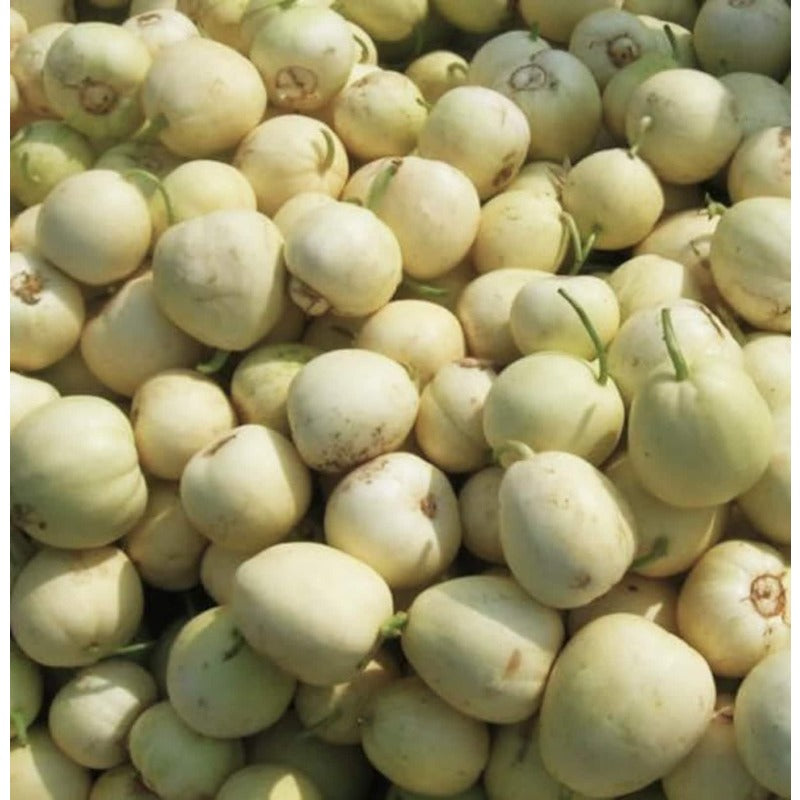47Pcs Honeydew Melon Seeds match naturally with casual garden design and trellis landscape layout styles