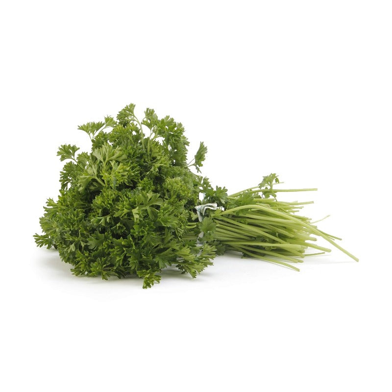 500 Parsley Seeds Packets - Non GMO & Heirloom Seeds for Planting in Kitchen Herb Garden, Containers & Beds
