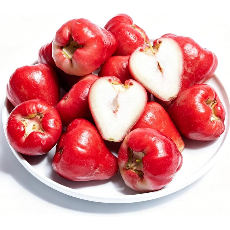Wax Apple Trees Seeds for Planting 100pcs Perennial Wax Apple Syzygium samarangense Fruits Seeds Plants, Non-GMO Heirloom Open Pollinated Sweet Fruits Plants for Home Garden Outdoors