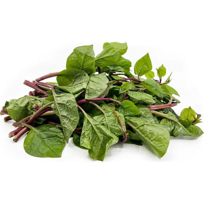 100pcs Red Malabar Spinach seeds easy to planting  Climbing Spinach