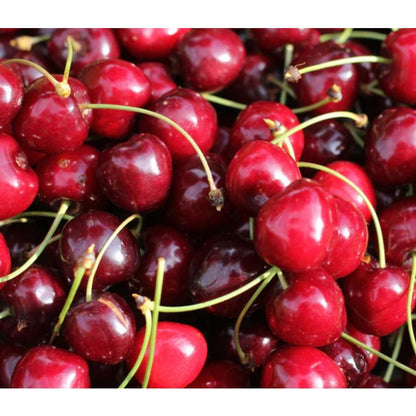 30Pcs High Germination Blossom Foliage with Cherry Tree Seeds for Garden Fence Decoration