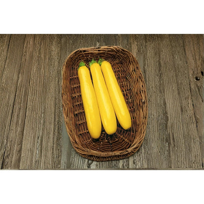 Goldy Zucchini Squash 50 Seeds for Planting – Golden Summer Squash Cucurbita pepo Heirloom Seeds