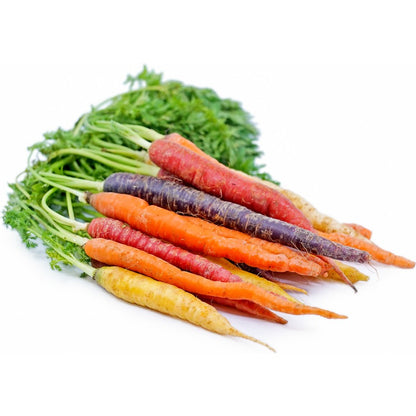 200 RAINBOW Carrot SEEDS  outdoor vegetable garden planting