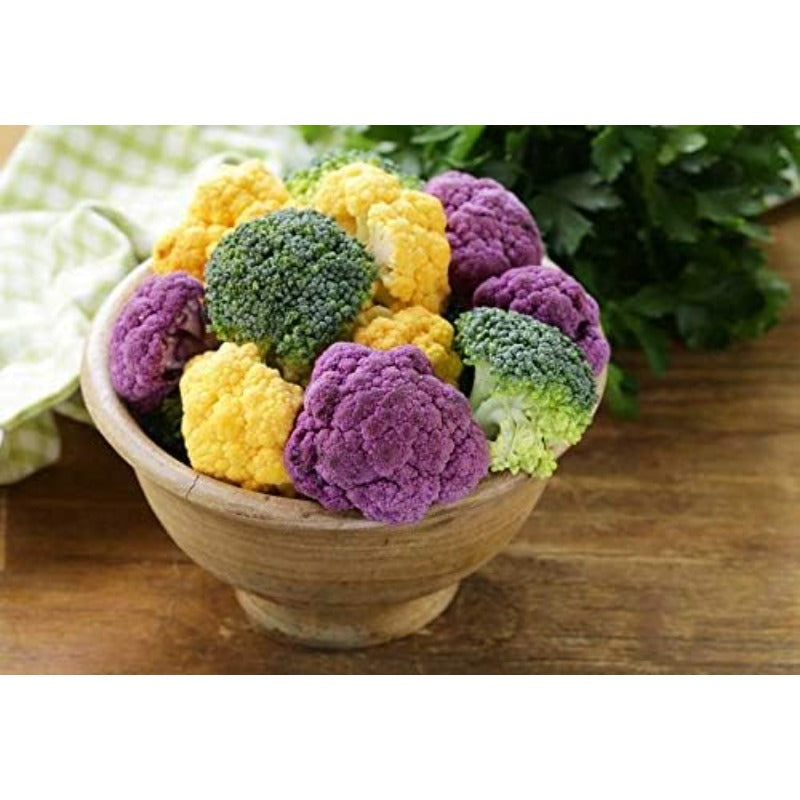 200pcs Cauliflower seeds Cabbage Mix Non GMO Vegetable for Planting