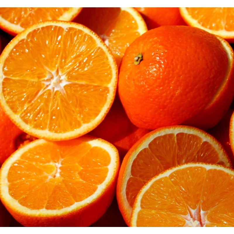 48Pcs Orange Seeds for Planting, Evergreen Perennial Sweet Fragrant Fruit Tree, Non-GMO Heirloom Citrus sinensis for Home Garden & Indoor Containers