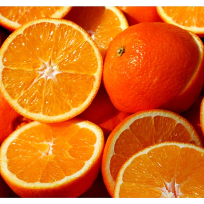 48Pcs Orange Seeds for Planting, Evergreen Perennial Sweet Fragrant Fruit Tree, Non-GMO Heirloom Citrus sinensis for Home Garden & Indoor Containers