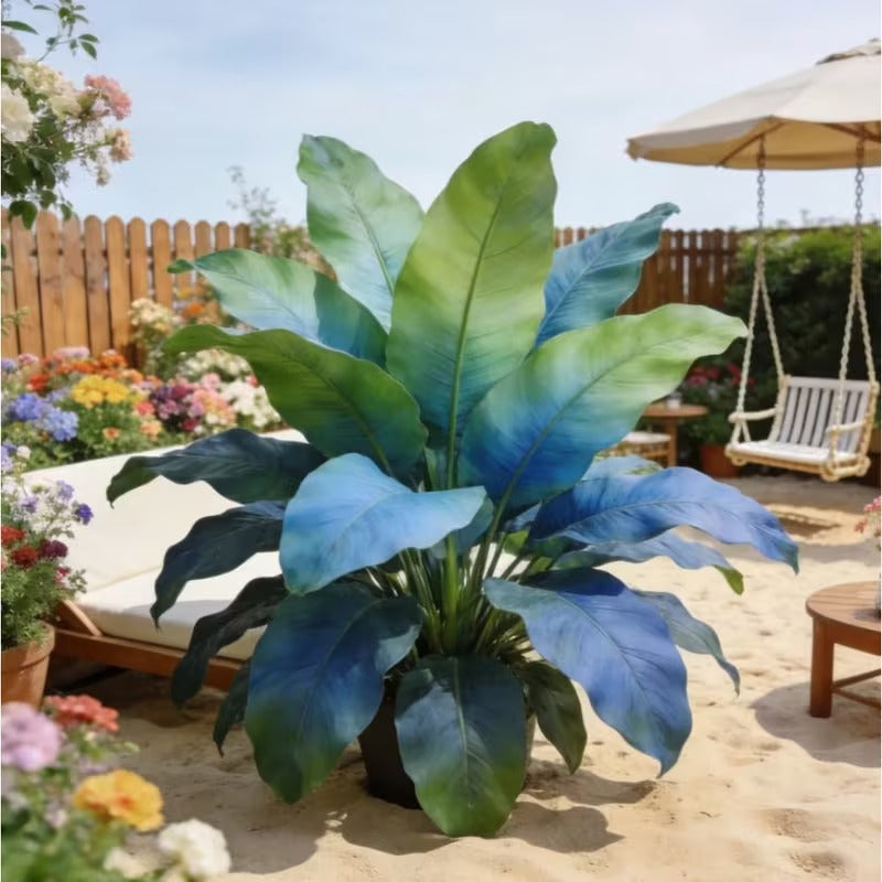 100pcs Large Elephant Ear seeds - Magical Hardy Balcony Species Ornamental Value