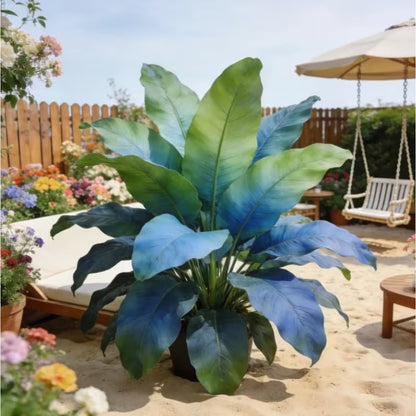 100pcs Large Elephant Ear seeds - Magical Hardy Balcony Species Ornamental Value