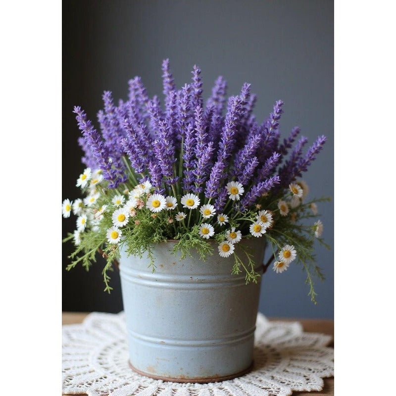 1000pcs Lavender Seeds Easy Growing For Fragrant Garden Planting