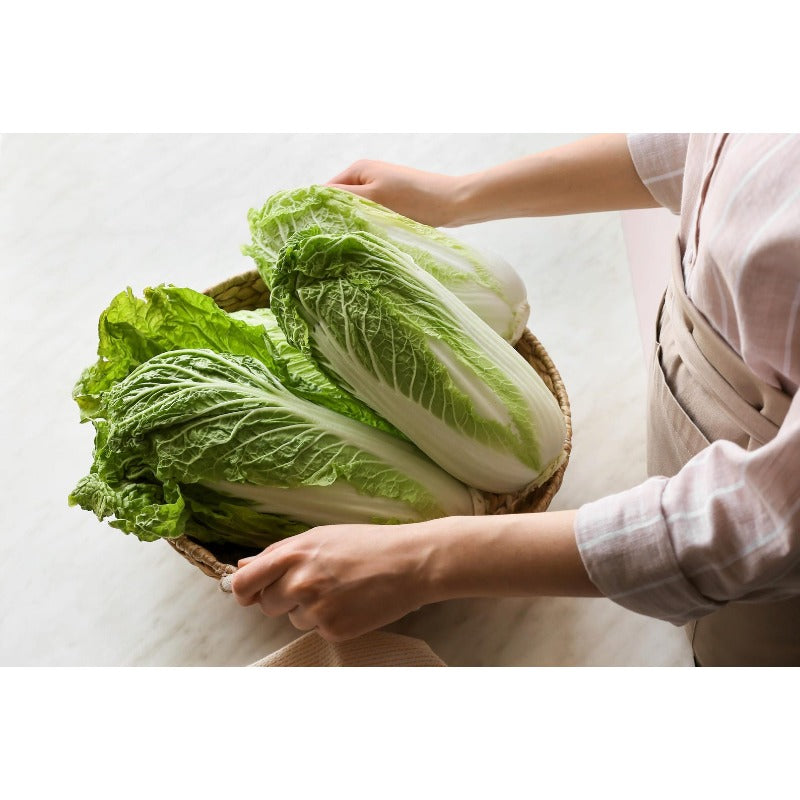 200 Chinese Cabbage Seeds  flourish in ordinary well-drained soil suited for garden foliage cultivation