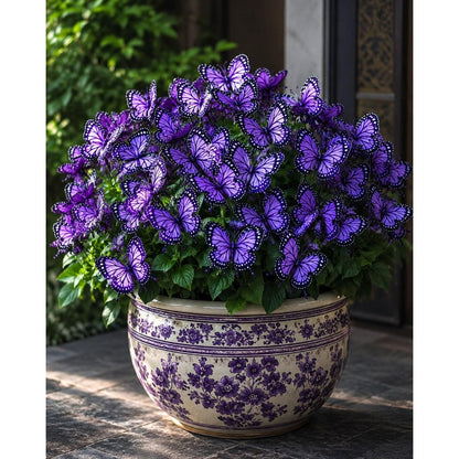 200pcs Purple Butterfly Begonia Flower Seeds Butterfly Shaped Blooms | Exotic Garden Flowers | Pollinator Friendly | Non GMO Seeds