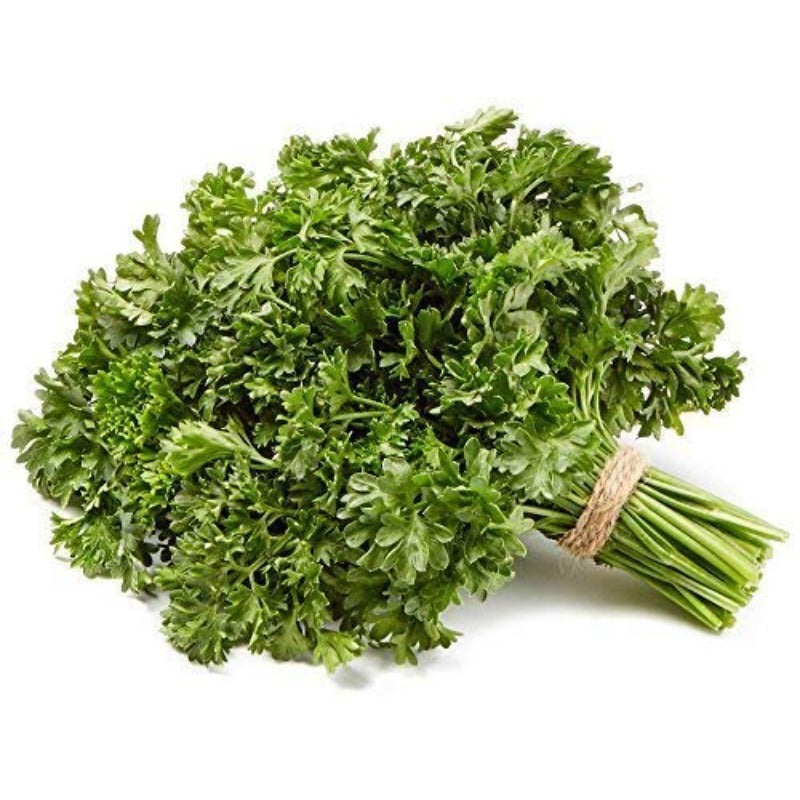 500 Parsley Seeds Packets - Non GMO & Heirloom Seeds for Planting in Kitchen Herb Garden, Containers & Beds