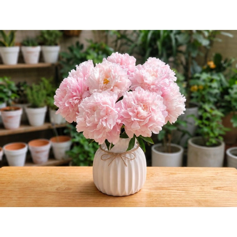 24Pcs Great For Growing Peony Seeds That Produce Lush Foliage Early In The Growing Season