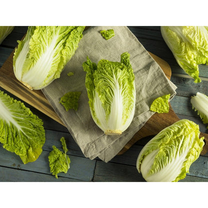 200 Chinese Cabbage Seeds  flourish in ordinary well-drained soil suited for garden foliage cultivation